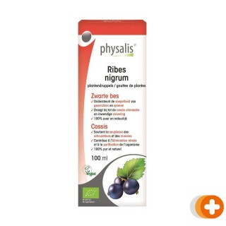 Physalis ribus nigrum plantendruppels bio