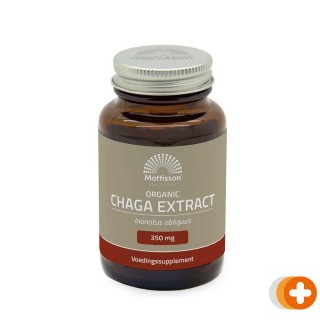 Mattisson chaga 350mg bio