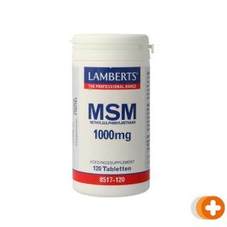 Lamberts msm 1000mg