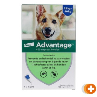 Advantage hond 400